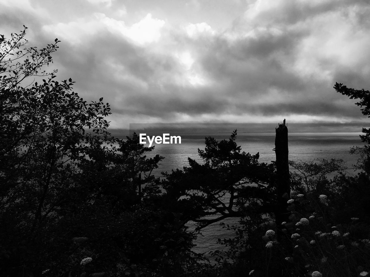 SILHOUETTE OF TREES BY SEA AGAINST CLOUDY SKY