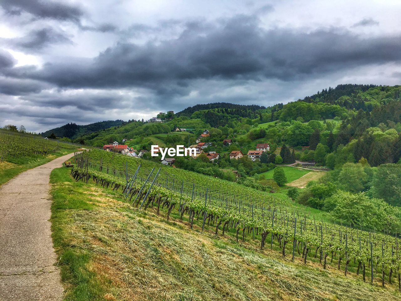 SCENIC VIEW OF FARMS AGAINST SKY