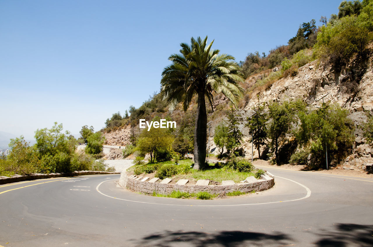 Road amidst trees against clear sky