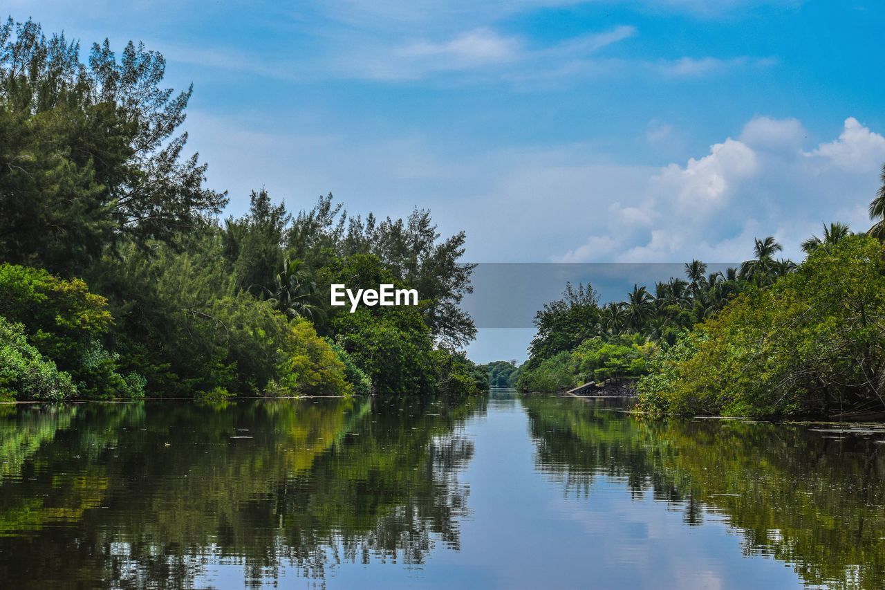 Scenic view of lake trees against sky