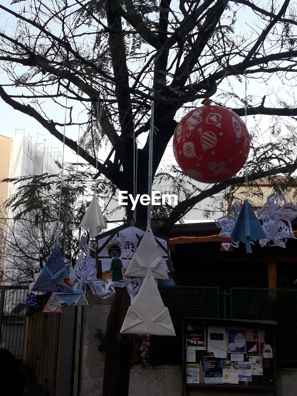 CLOTHES HANGING ON TREE