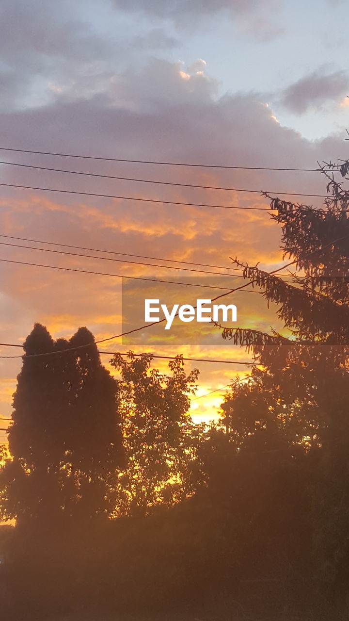 Low angle view of silhouette trees against sky