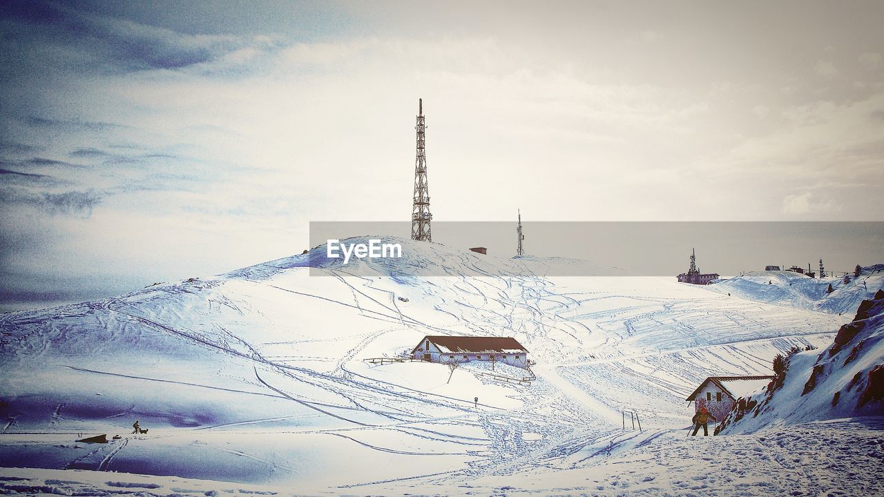 BIRDS ON SNOW COVERED LAND AGAINST SKY