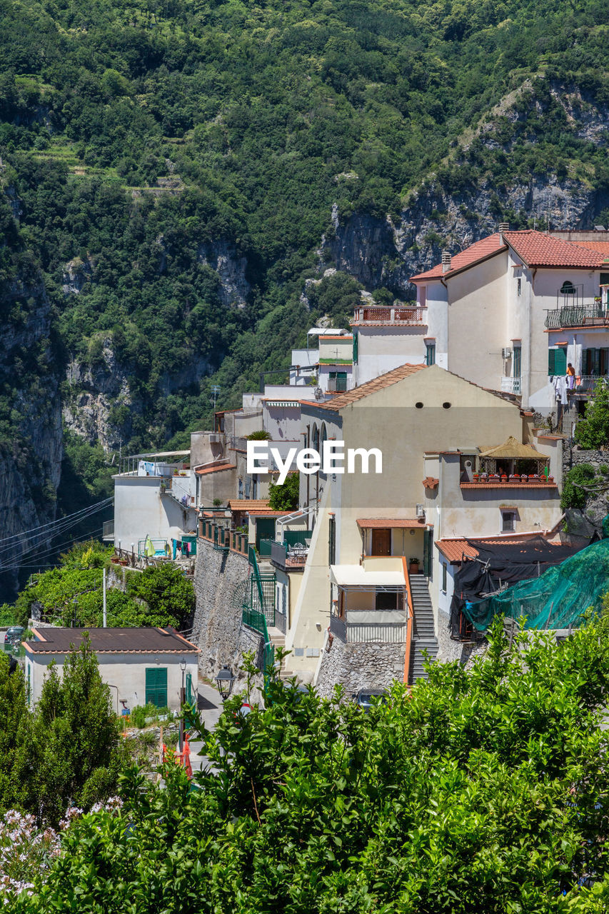 HIGH ANGLE VIEW OF HOUSES AND TREES BY TOWN