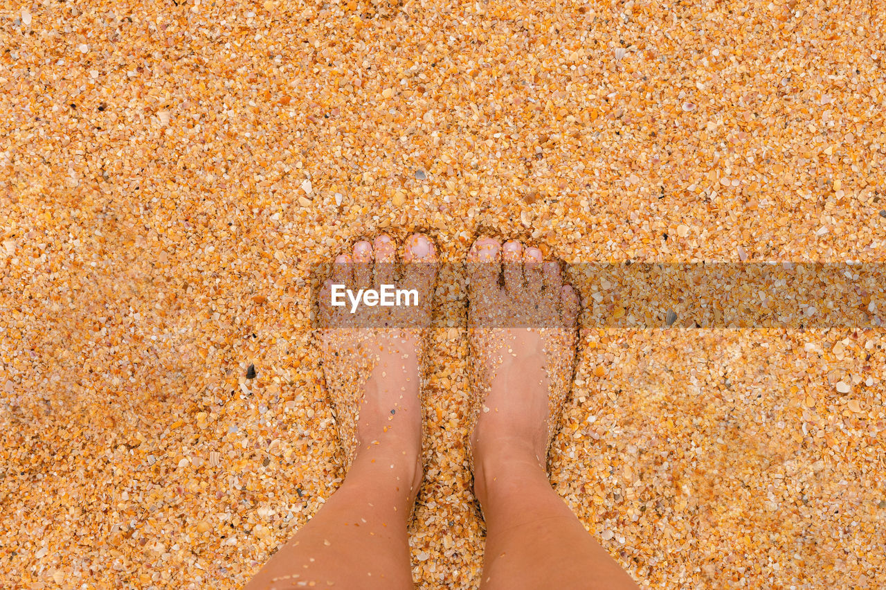 A young woman stands barefoot on the sand on a sunny summer day. part of the body. shot point of