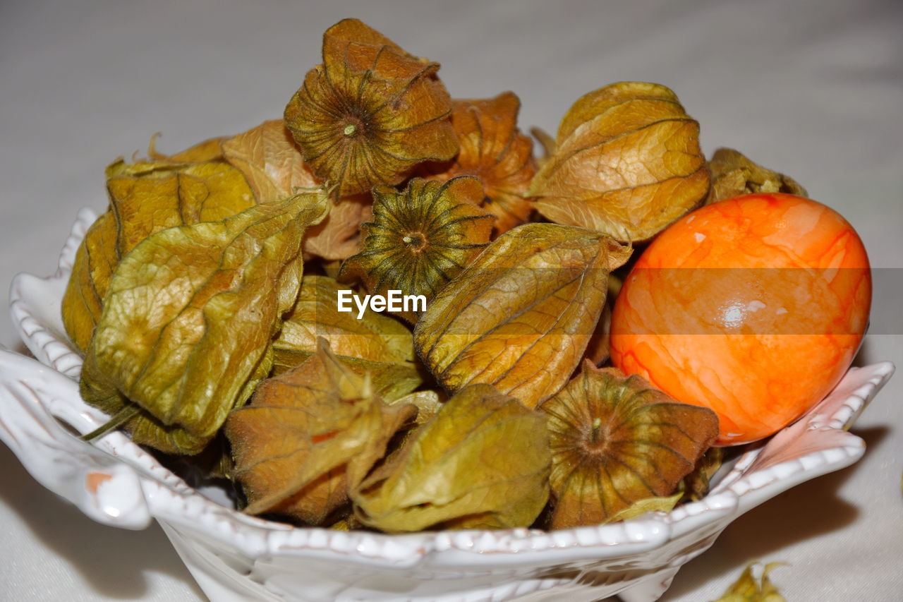 HIGH ANGLE VIEW OF PUMPKIN ON TABLE