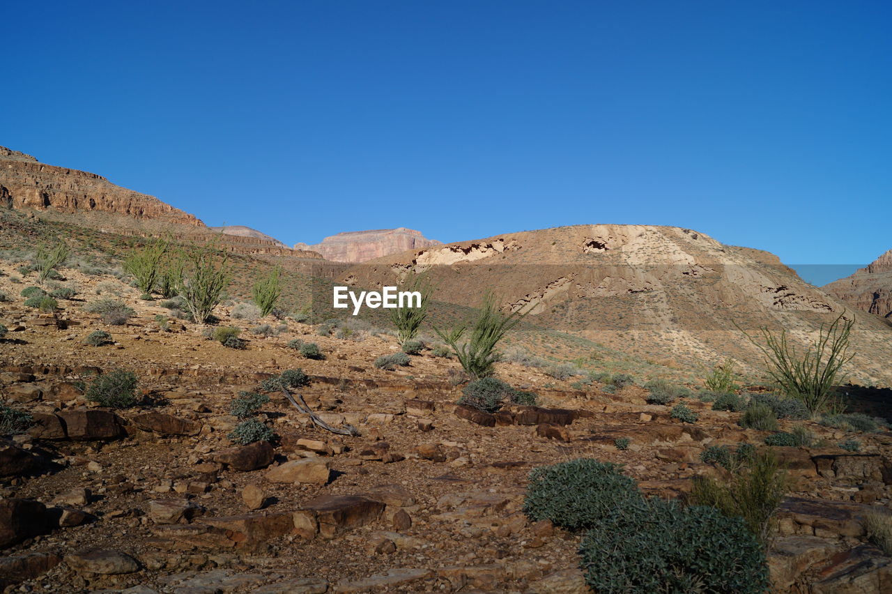 Scenic view of desert against clear blue sky