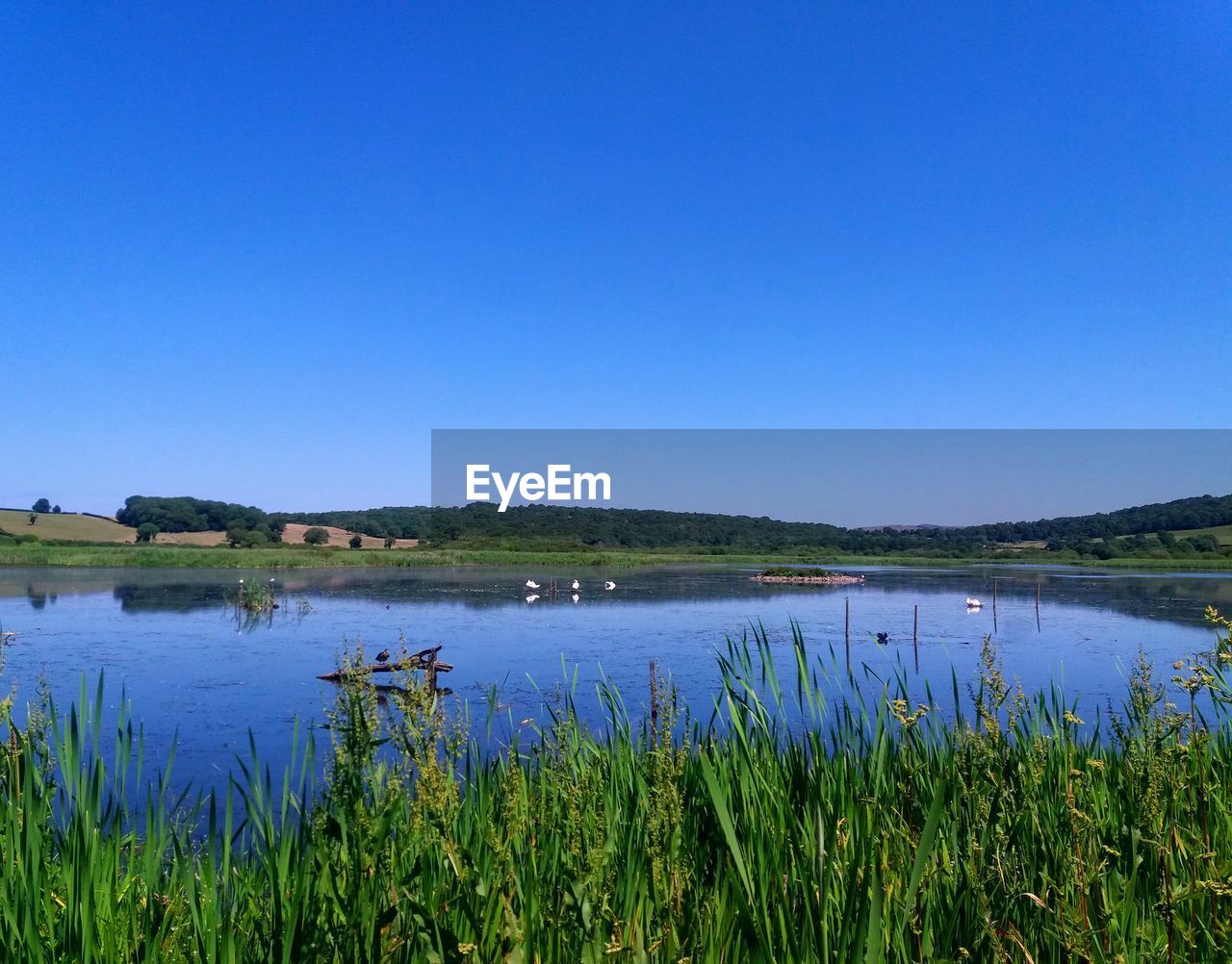 Scenic view of lake against clear blue sky