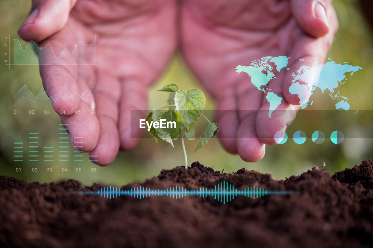 soil, hand, growth, dirt, nature, plant, one person, flower, gardening, environmental conservation, environment, childhood, child, selective focus, plant part, leaf, close-up, outdoors, holding, adult, beginnings, food