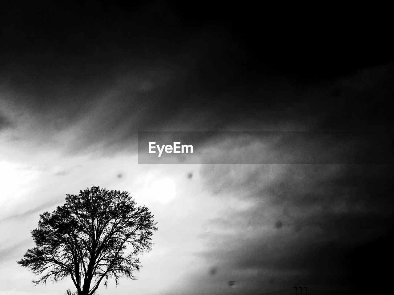 Low angle view of bare trees against cloudy sky