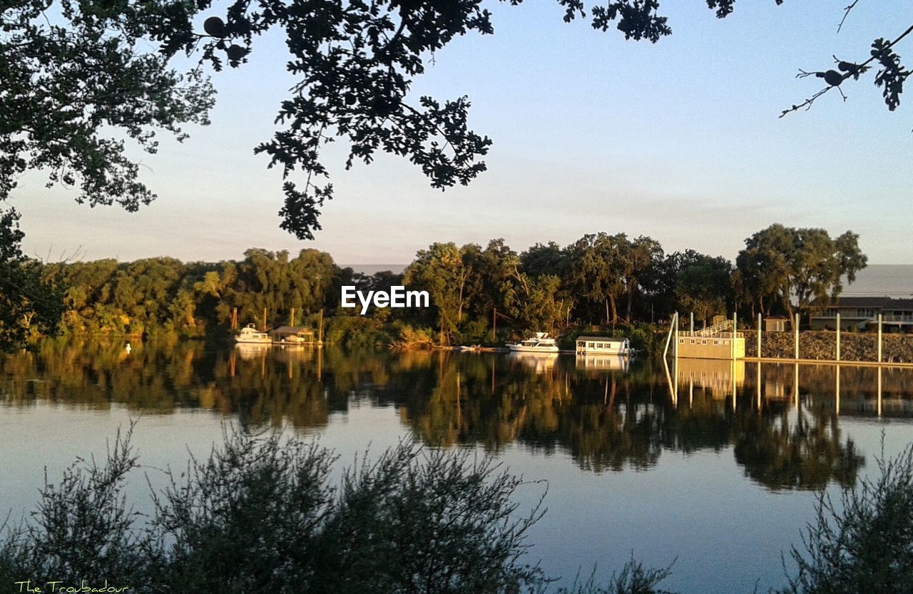 Reflection of trees in lake