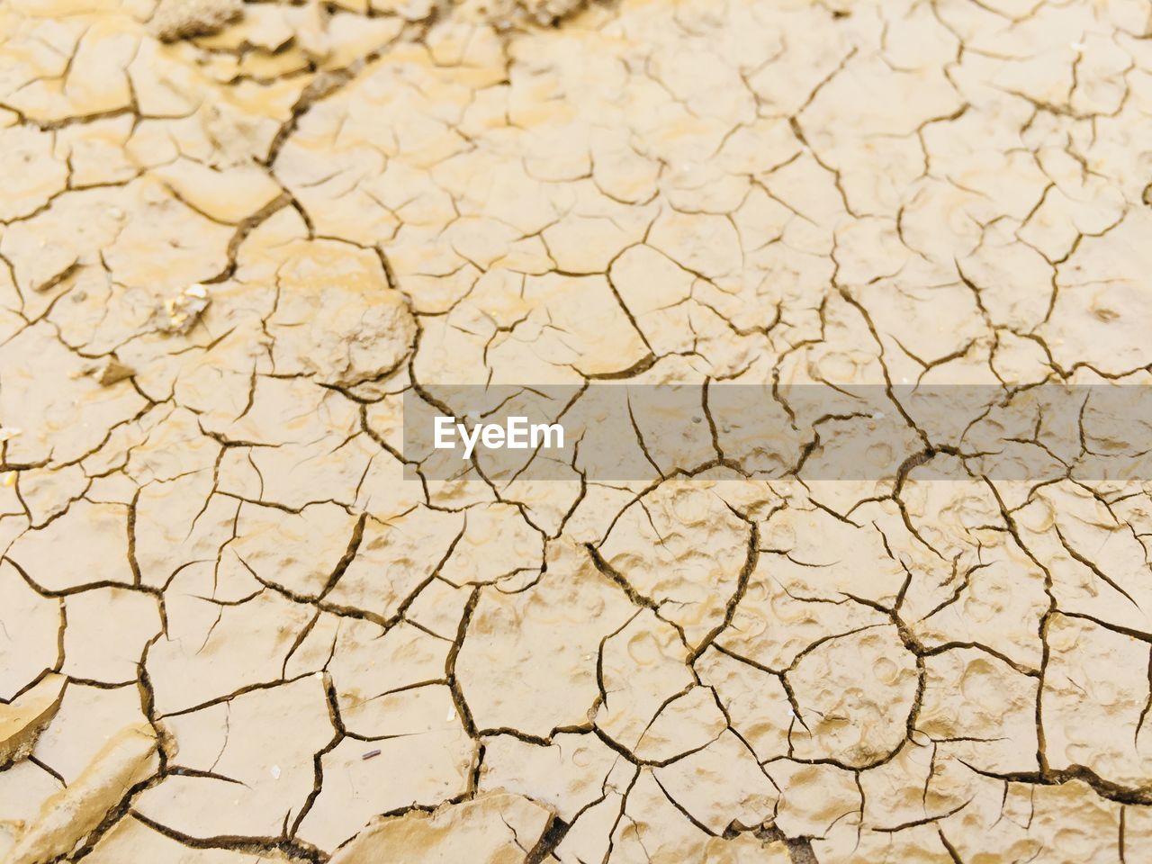 Crack dry soil - earth texture background