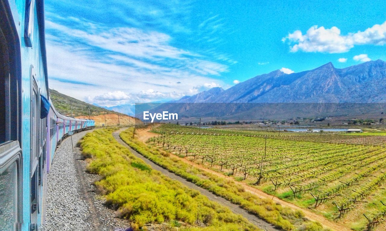 SCENIC VIEW OF FARMS AGAINST SKY