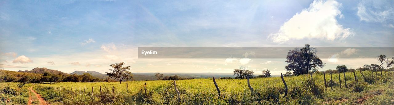 PANORAMIC VIEW OF FARM AGAINST SKY