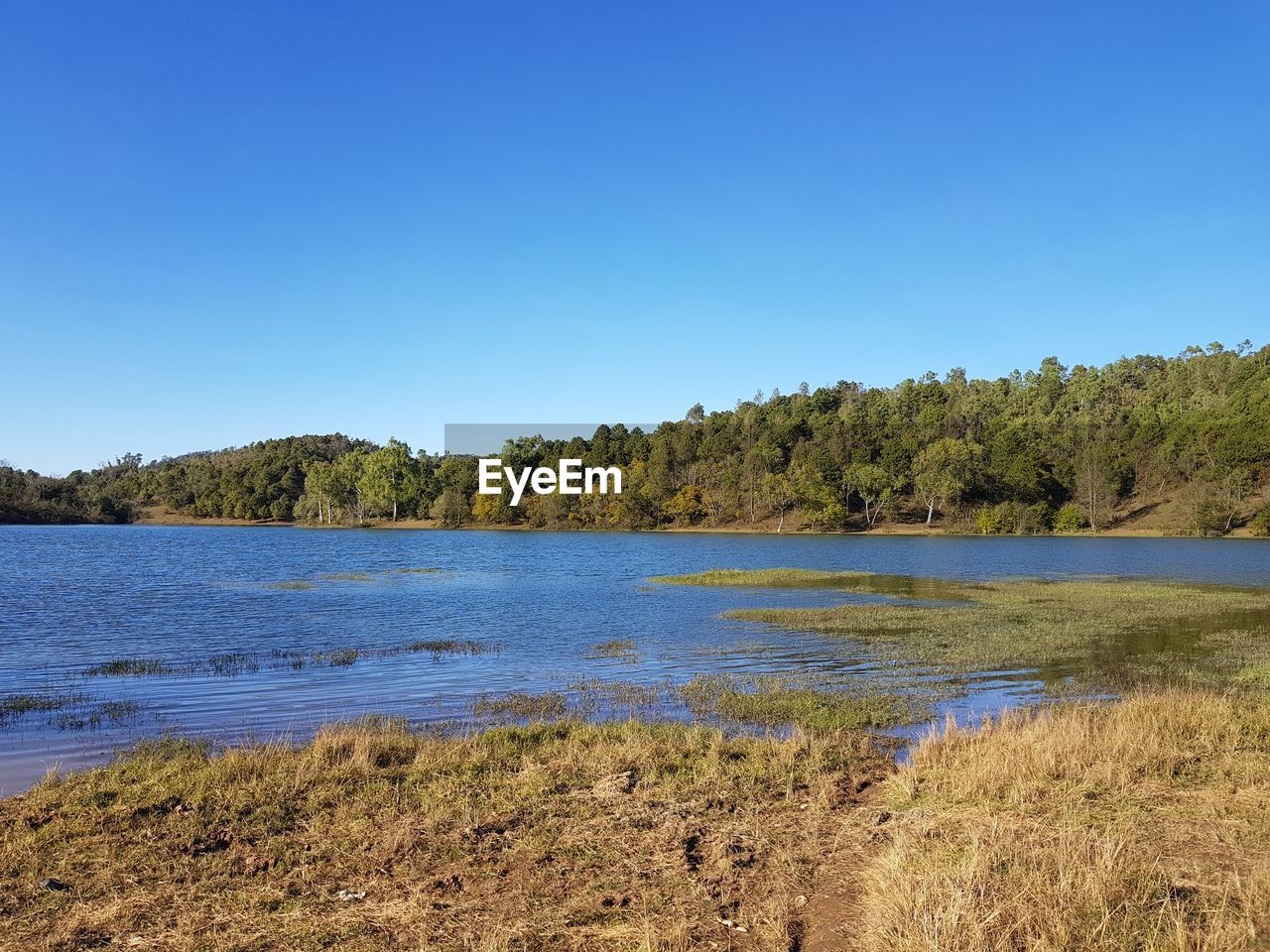 Scenic view of lake against clear blue sky