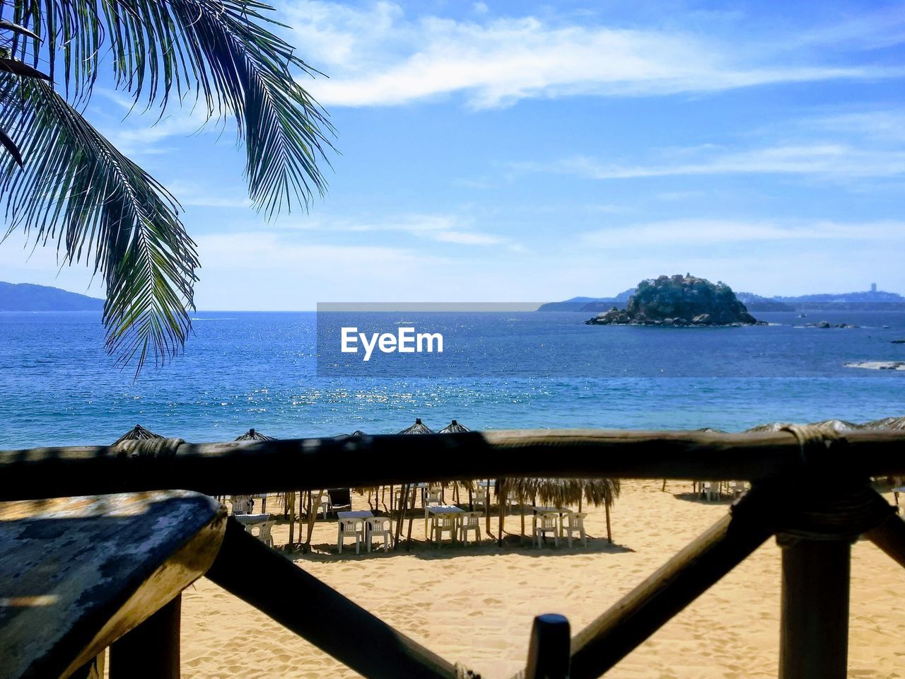 PALM TREES ON BEACH AGAINST SKY