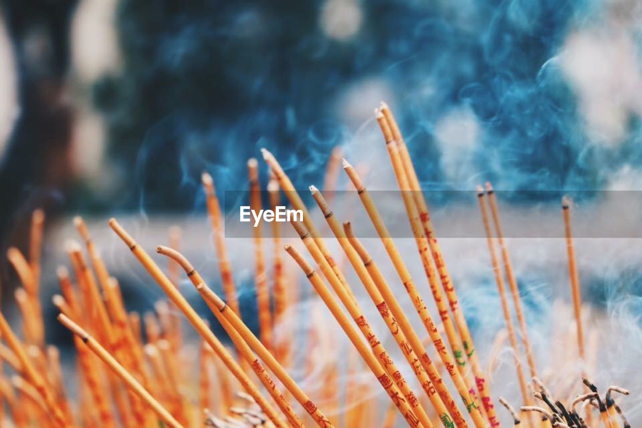 Close-up of burning incenses at temple