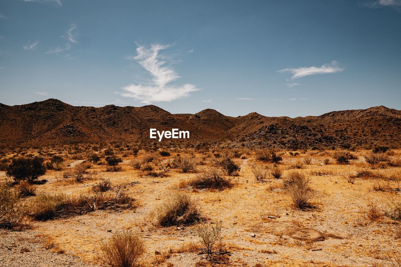 Scenic view of desert against sky