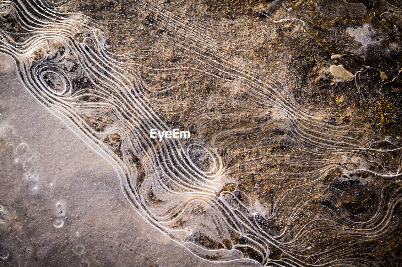 High angle view of patterned landscape