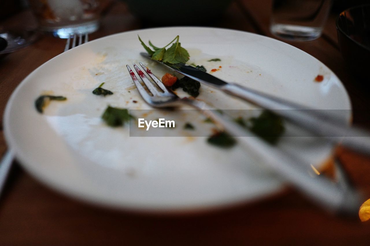 CLOSE-UP OF SERVED FOOD