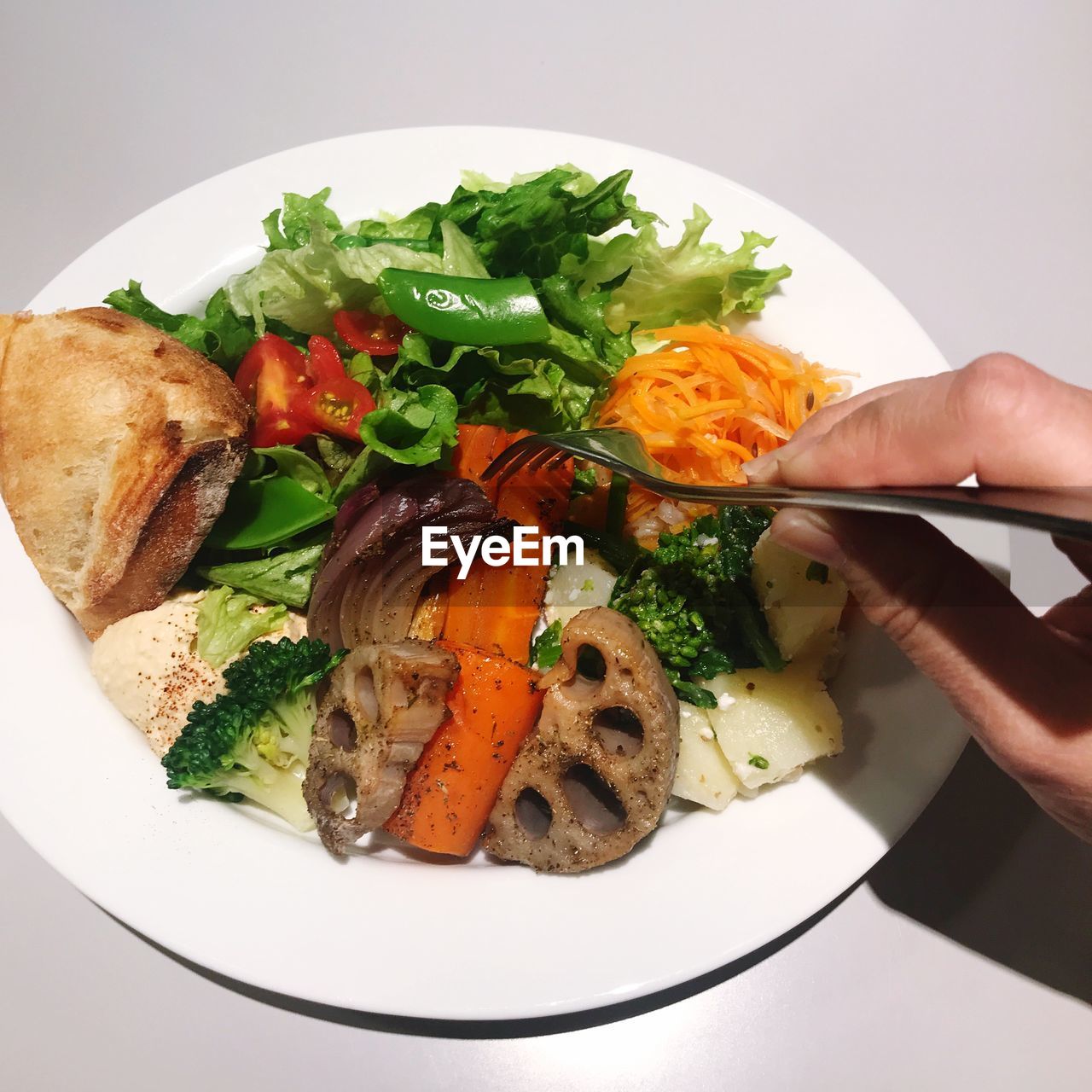 Cropped image of person holding meal served in plate