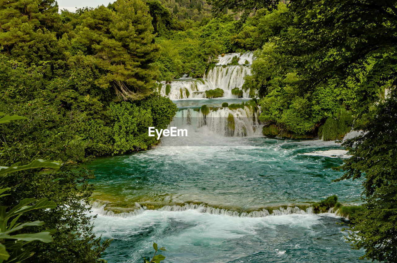 SCENIC VIEW OF RIVER FLOWING IN FOREST