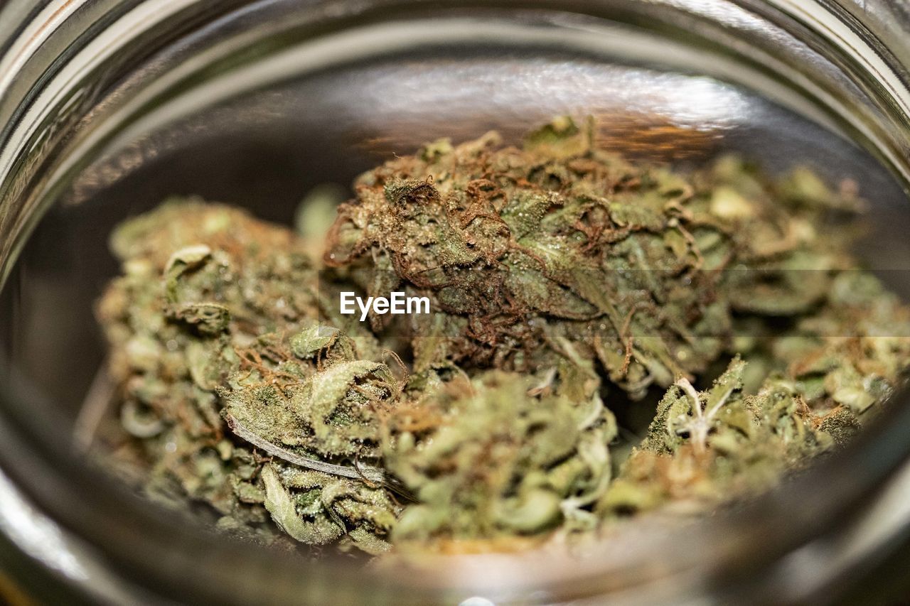 Close-up of cannabis in jar