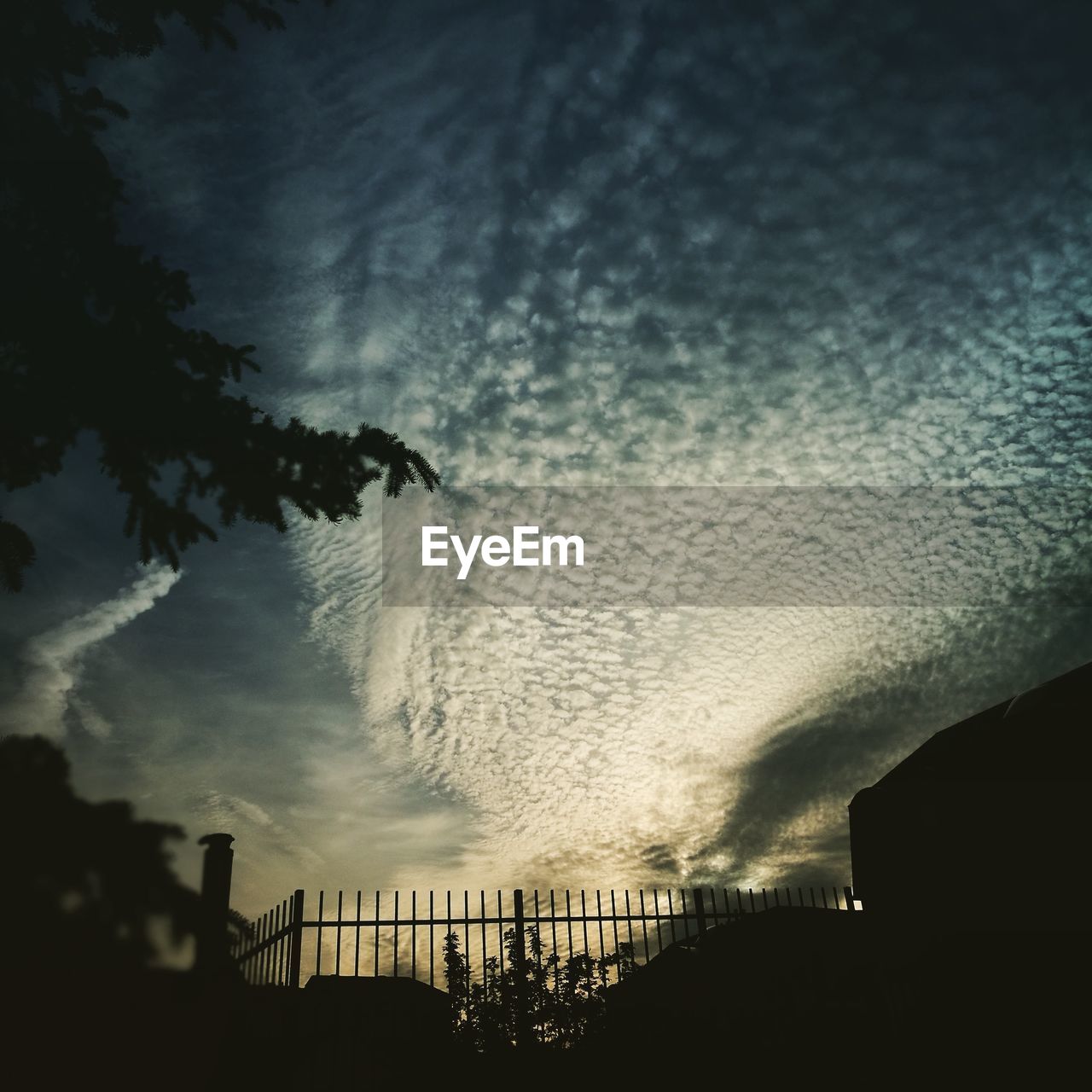 LOW ANGLE VIEW OF SILHOUETTE TREES AGAINST SKY AT DUSK