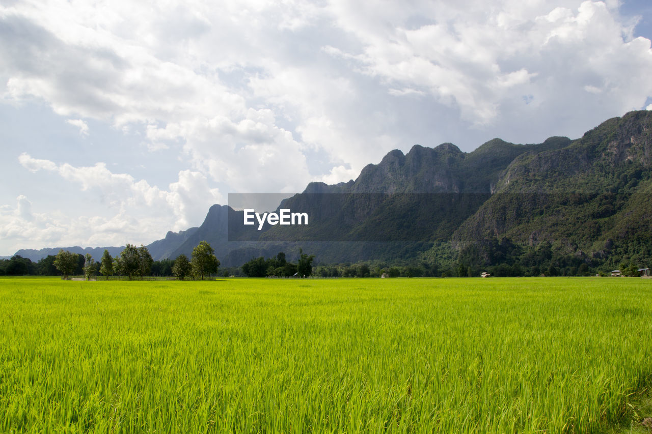 SCENIC VIEW OF FARMS AGAINST SKY