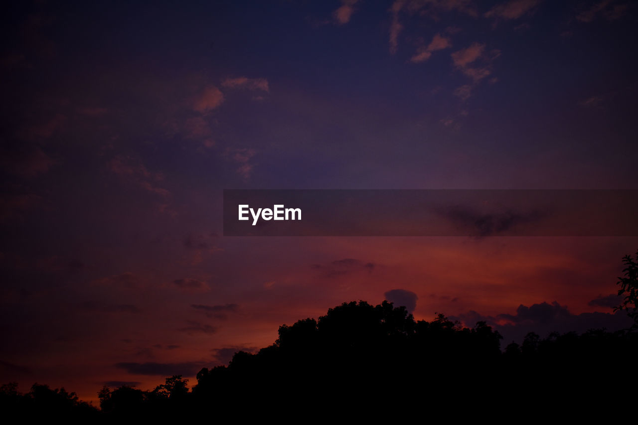 LOW ANGLE VIEW OF SILHOUETTE TREES AGAINST DRAMATIC SKY