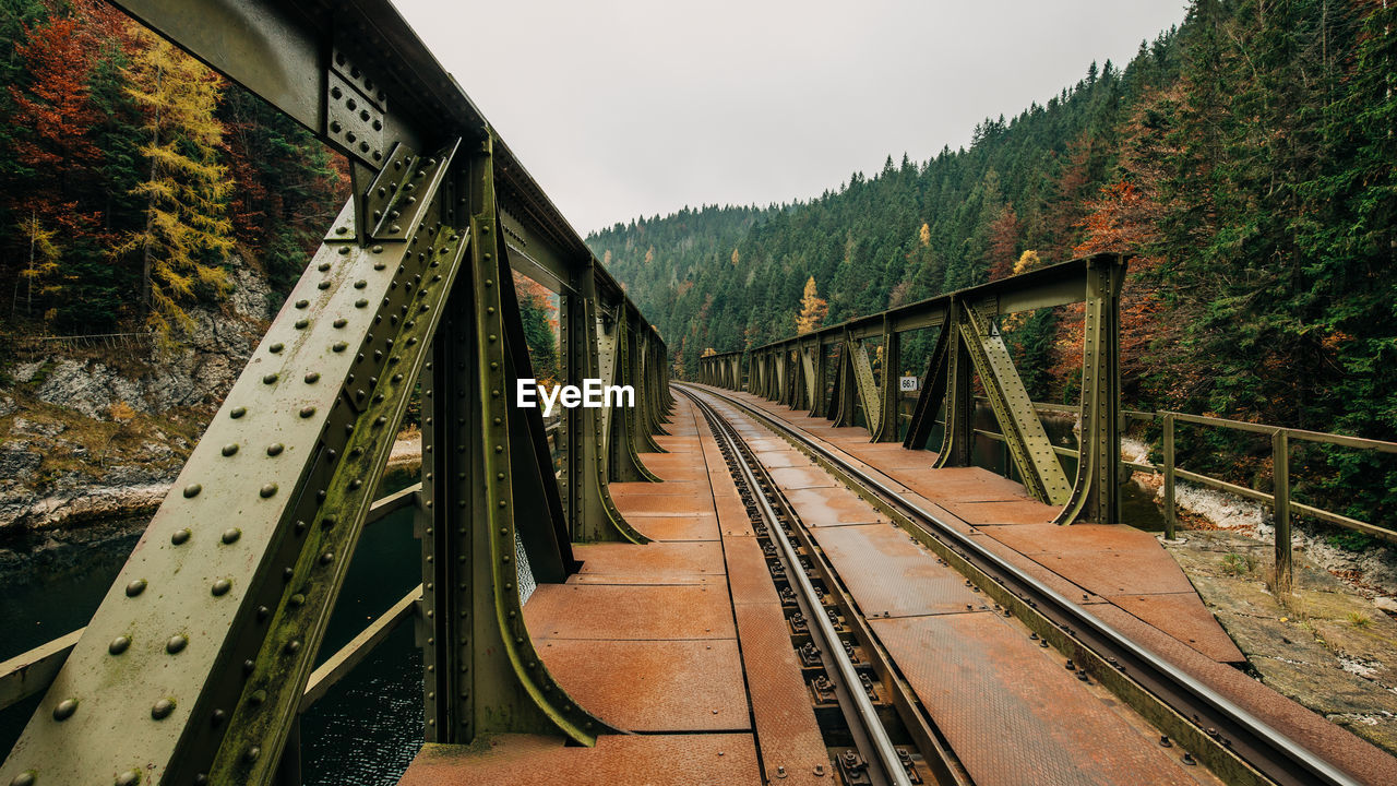 Railroad tracks amidst trees against sky