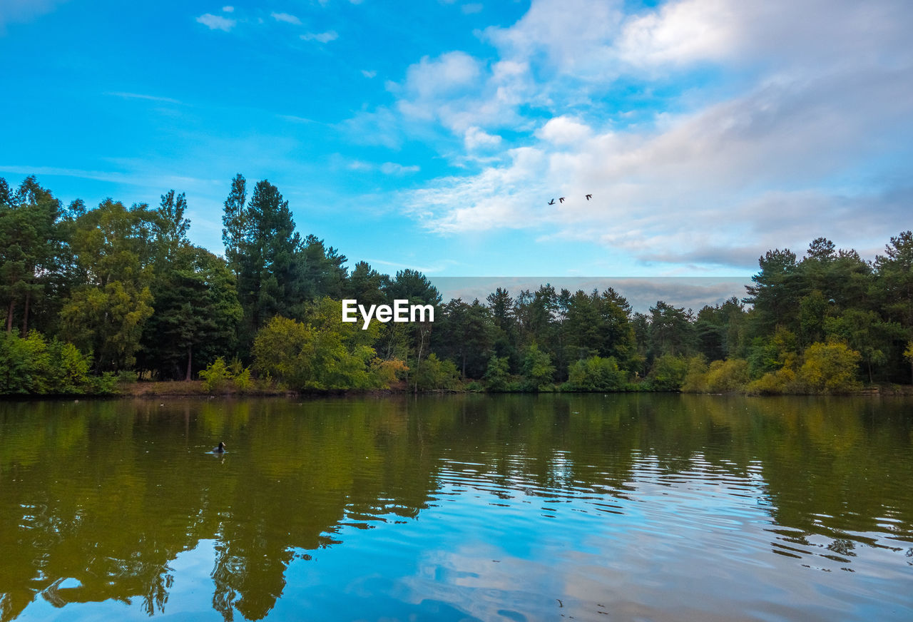 SCENIC VIEW OF LAKE WITH REFLECTION OF CLOUDS