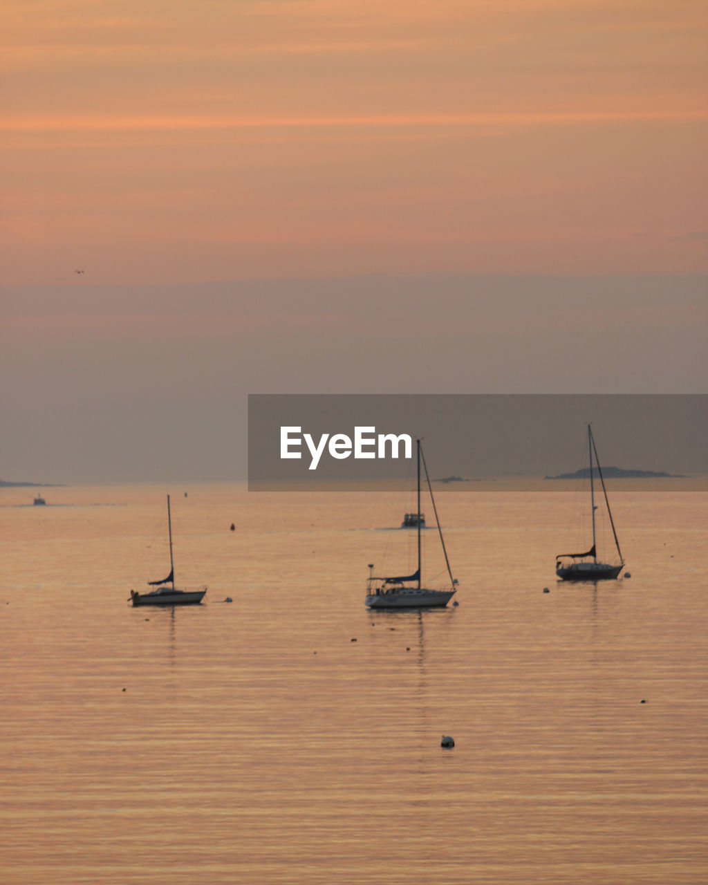 Sailboats in sea against sky during sunset