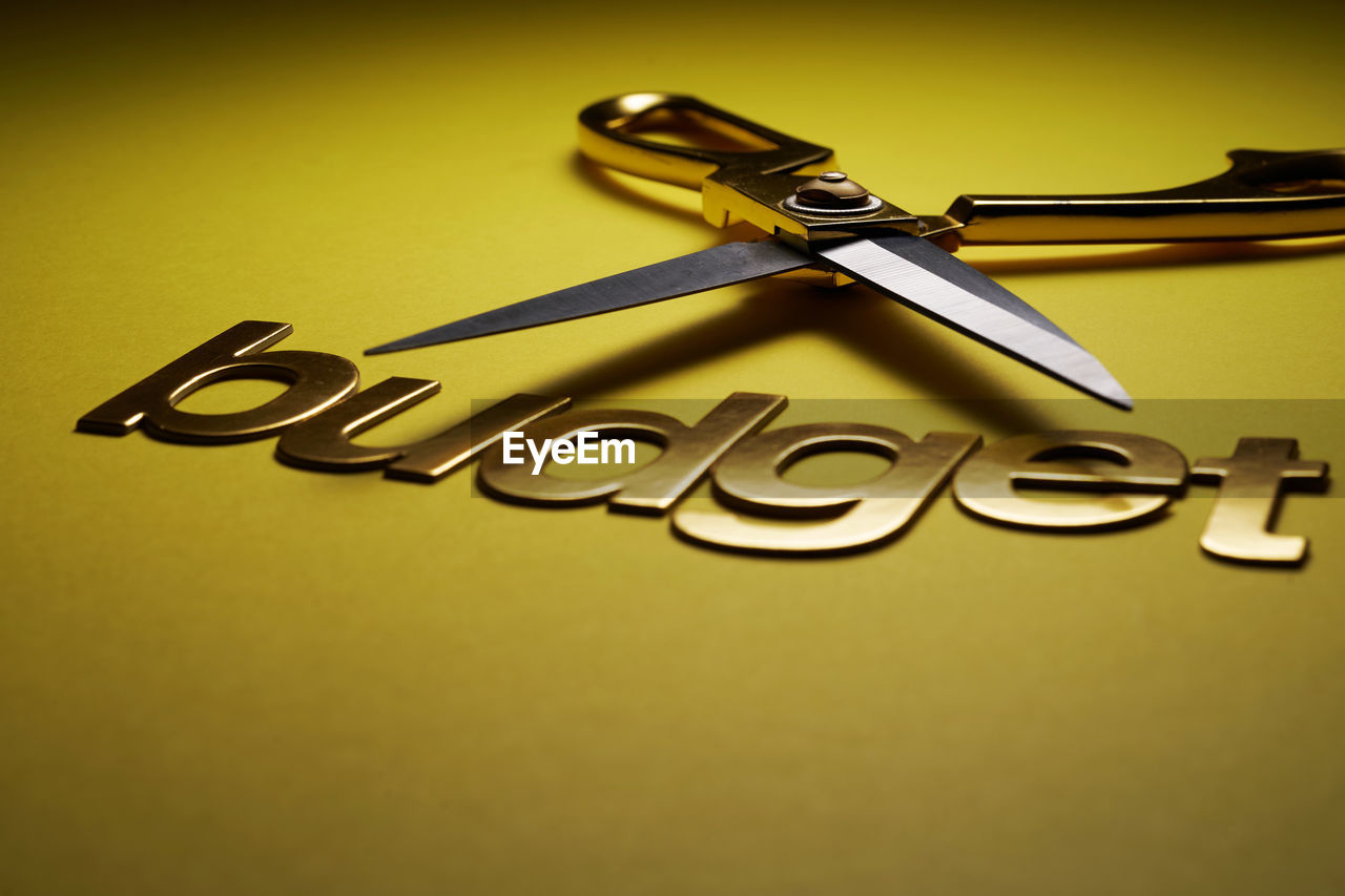 Scissors cutting the word budget - budget cut concept