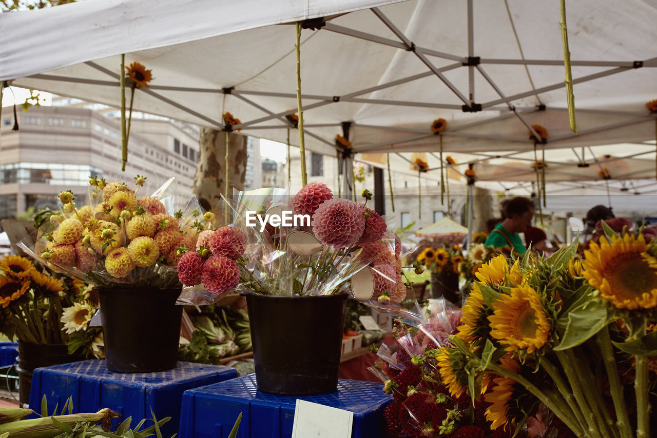 Bouquet of dahlia and sunflowers at a farmers market in copley square, boston, massachusetts 