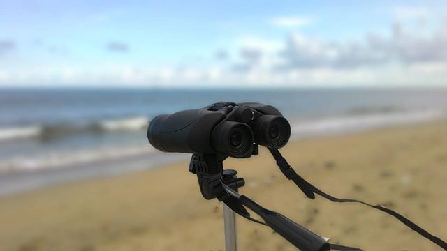 CLOSE UP OF SEA SHORE AGAINST SKY