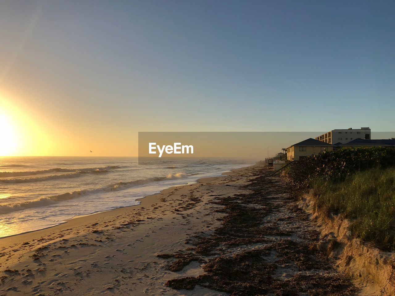 SCENIC VIEW OF BEACH AGAINST CLEAR SKY