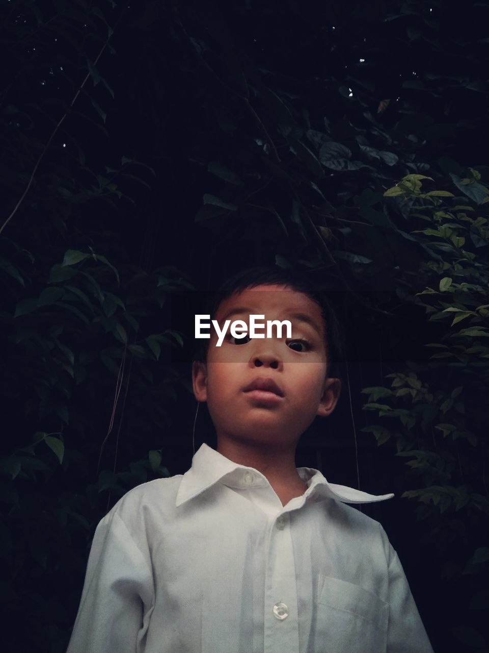 Portrait of boy standing against plants