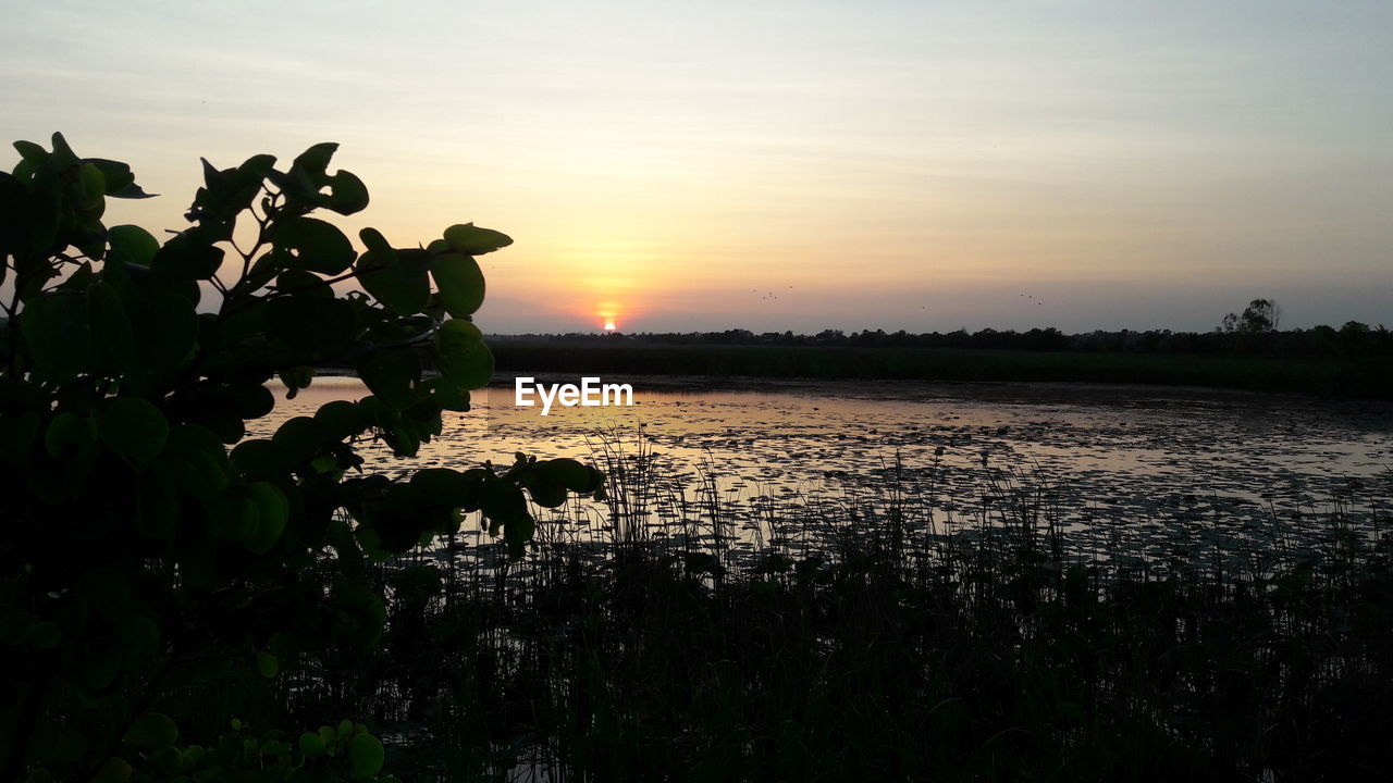 SILHOUETTE BIRDS BY LAKE AGAINST SKY AT SUNSET