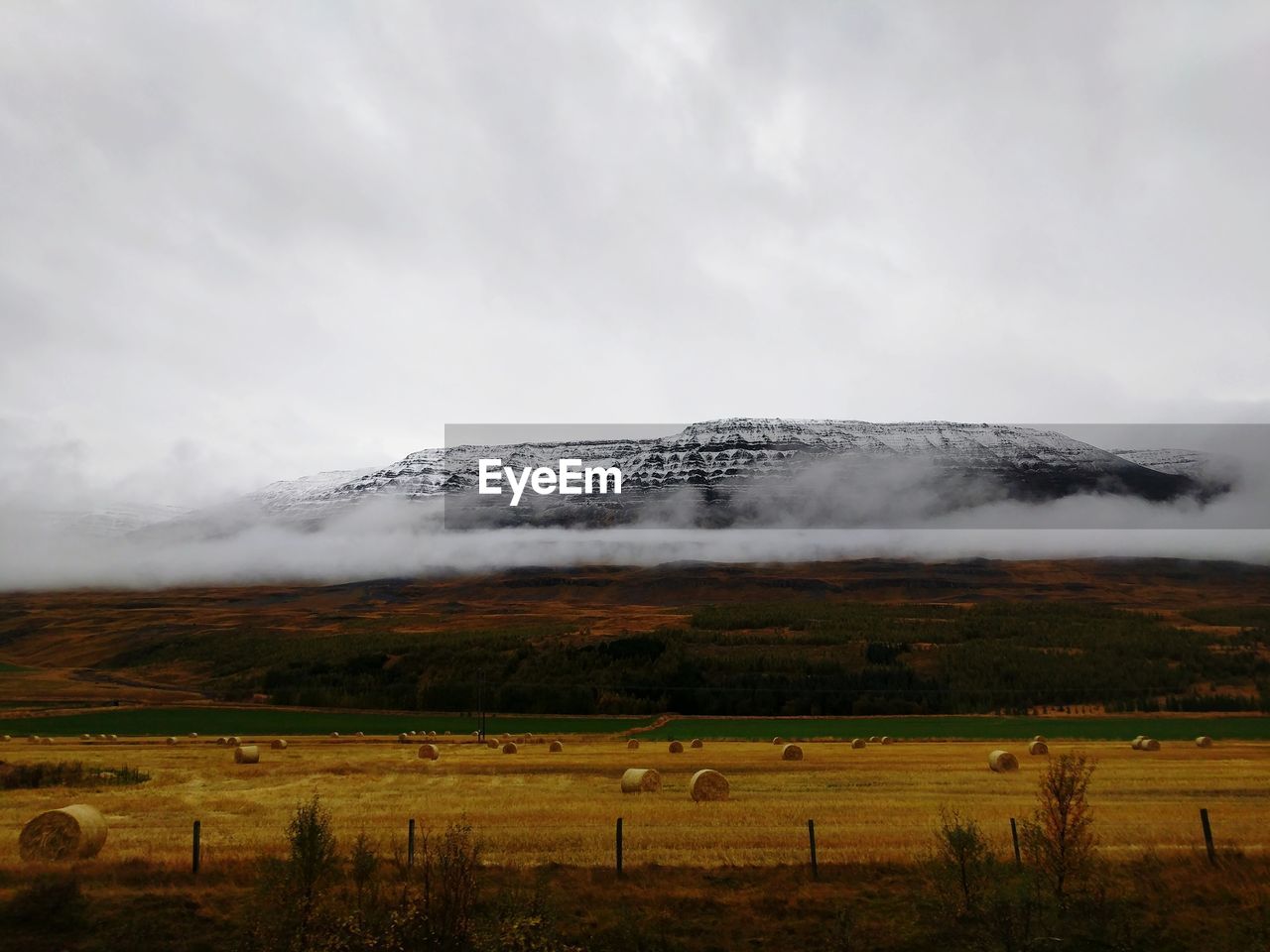 Farm landscape in north iceland with snowcapped mountain in background. 
