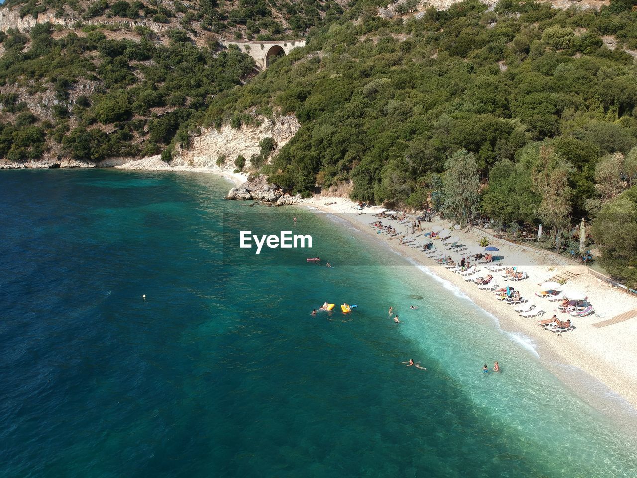 HIGH ANGLE VIEW OF TREES AT BEACH