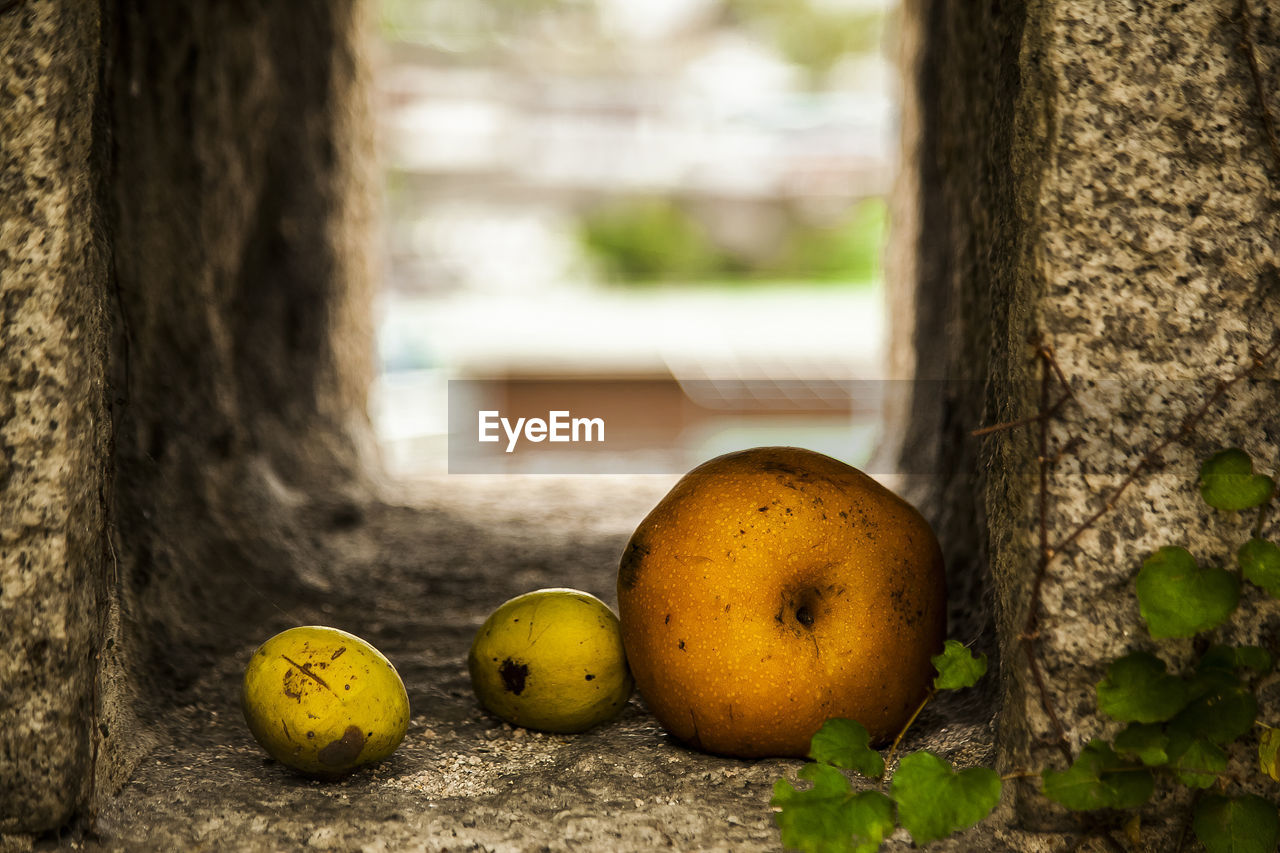 Close-up of fruits in stone wall window at naksan park