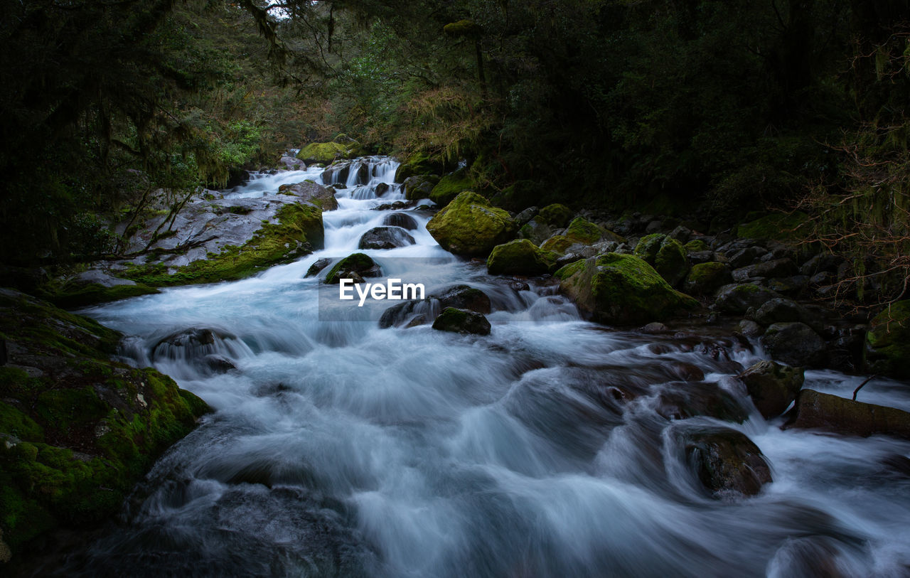 Stream flowing through rocks in forest