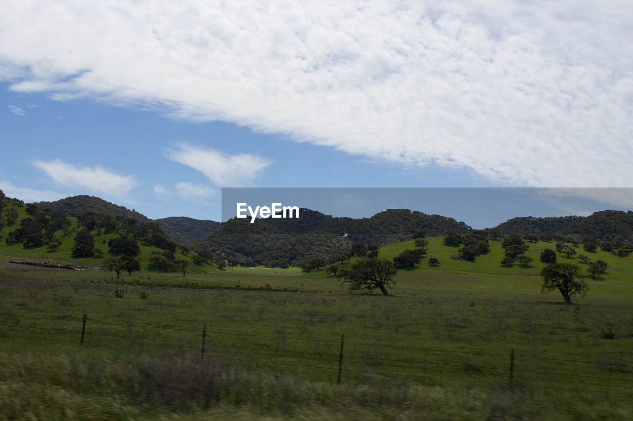 SCENIC VIEW OF GREEN LANDSCAPE AND MOUNTAINS