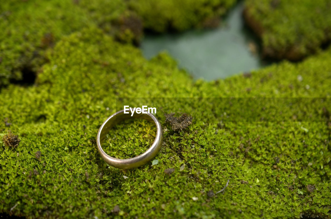 Jewelery ring on green moss