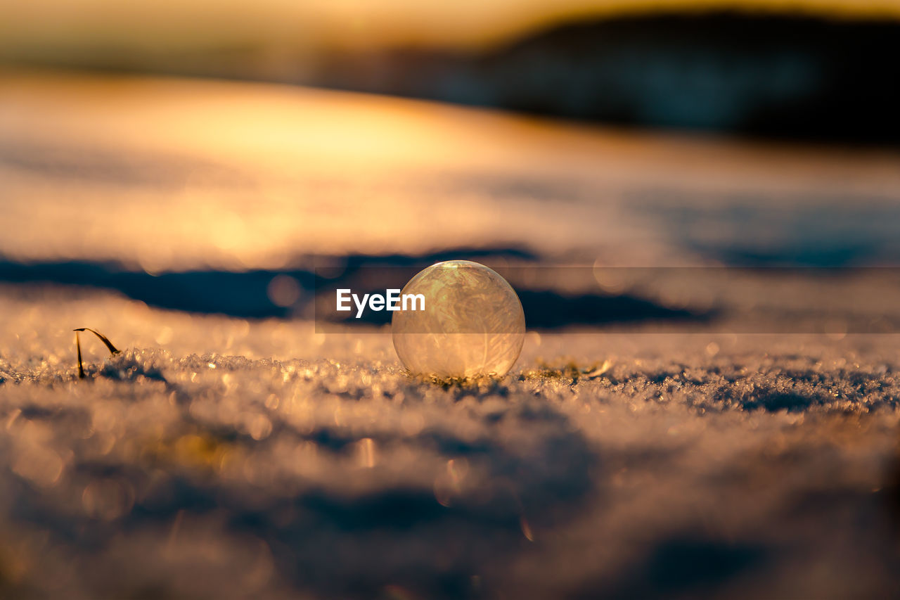 Close-up of marble on field during sunset