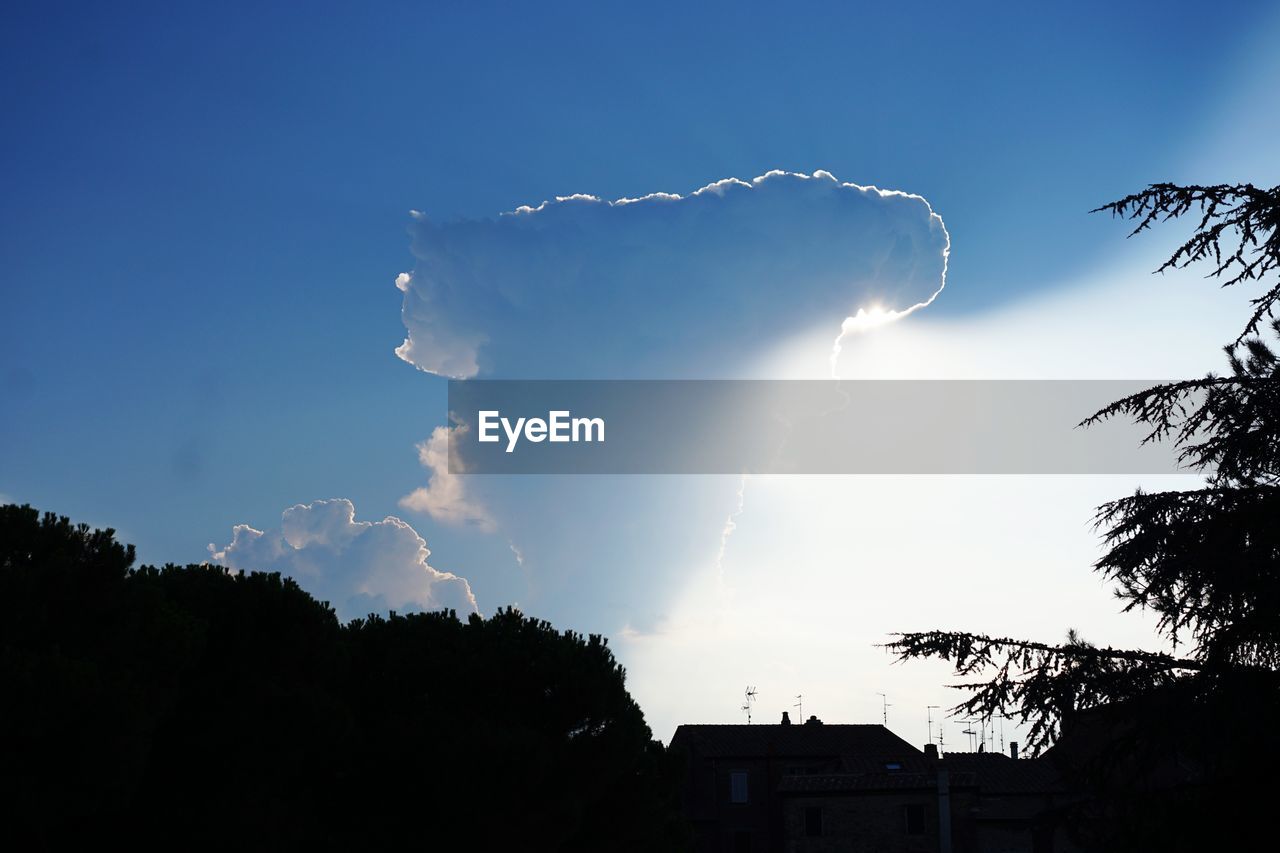 LOW ANGLE VIEW OF SILHOUETTE TREES AGAINST BLUE SKY AND CLOUDS