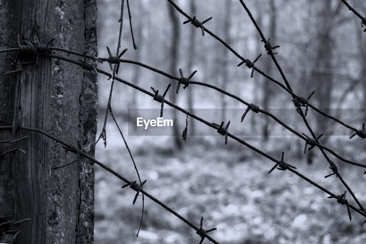 CLOSE-UP OF BARBED WIRE ON FENCE