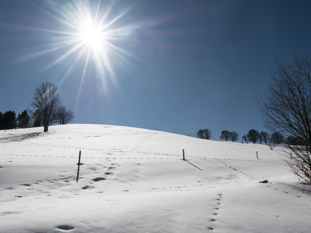 Snow covered landscape against sky