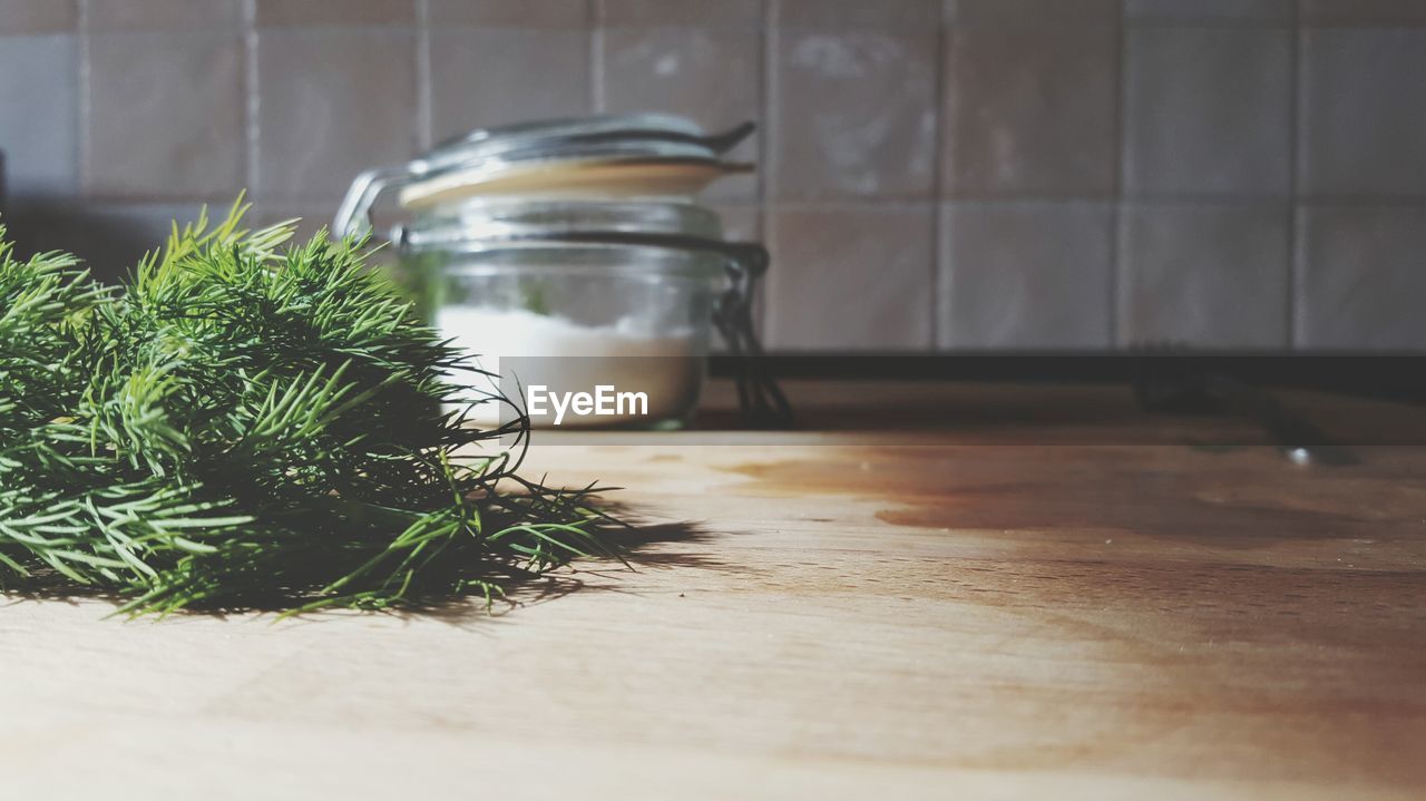 Close-up of herb and jar on table